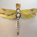 Amberwing Dragonfly brooch