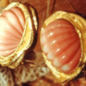 Star Coral earrings